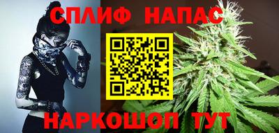 бошки Будённовск