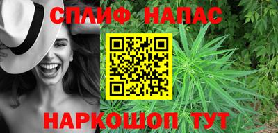 бошки Будённовск