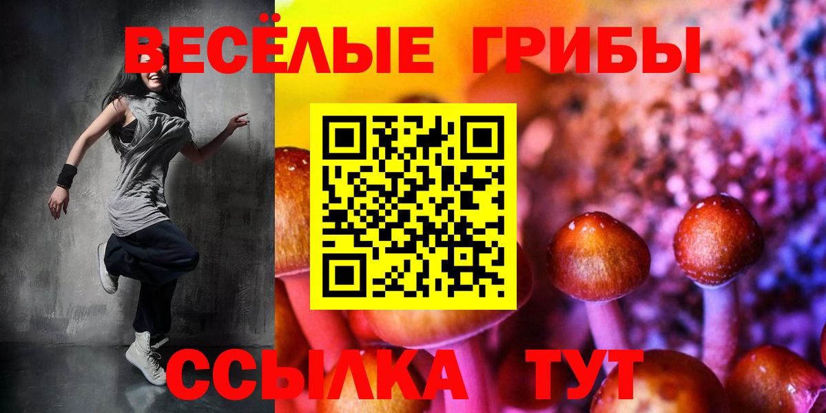 Улан-Удэ  Псилоцибиновые грибы MAGIC MUSHROOMS  Вход с VPN 